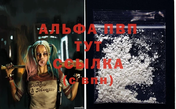 сатива Козловка