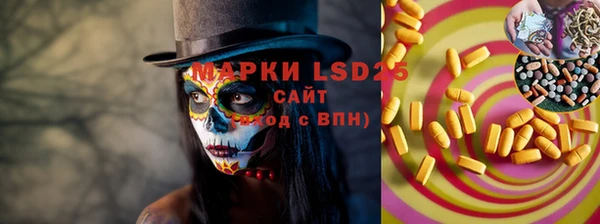 сатива Козловка
