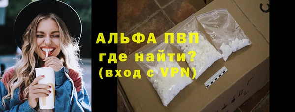 сатива Козловка