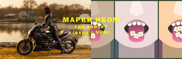 PSILOCYBIN Киреевск