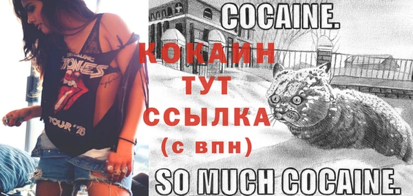 прущие грибы Новокубанск
