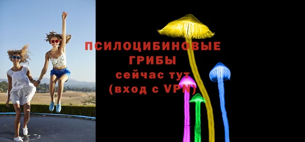 твердый Кодинск