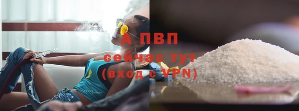 PSILOCYBIN Киреевск