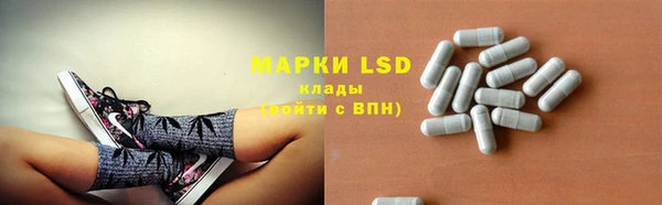 дживик Новозыбков
