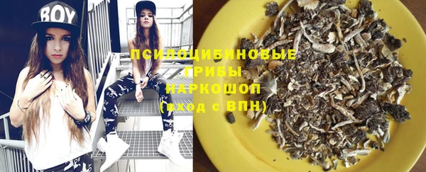 PSILOCYBIN Киреевск