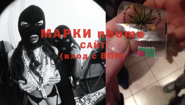 сатива Козловка