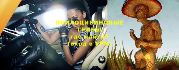 прущие грибы Киренск