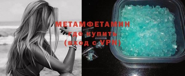 сатива Козловка