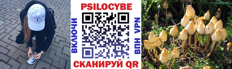 Галлюциногенные грибы мухоморы  хочу   Спасск-Дальний 